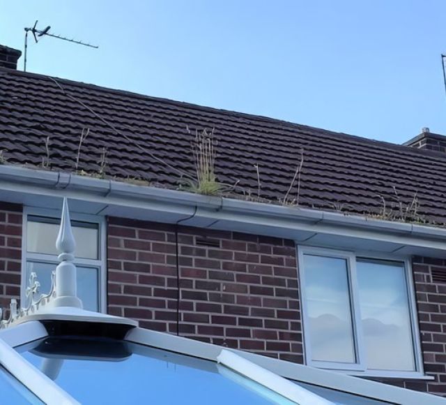 Gutter Cleaning before