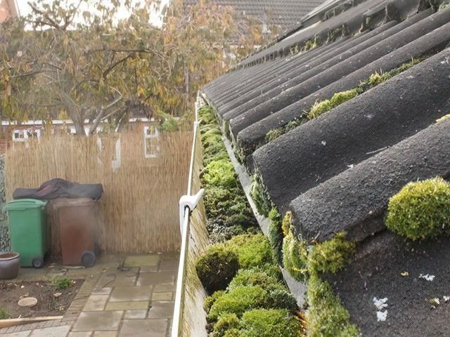 gutter-cleaning-3-kireth-ai