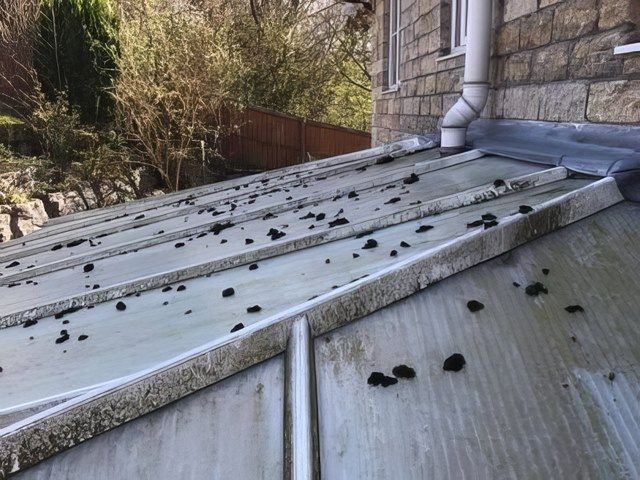 Conservatory Roof before Cleaning