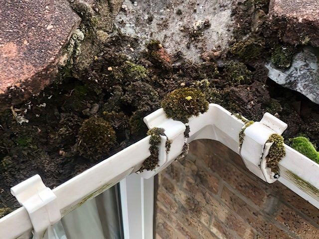 images/gutter-cleaners/slider/gutter-cleaning-5-kireth-ai.jpg