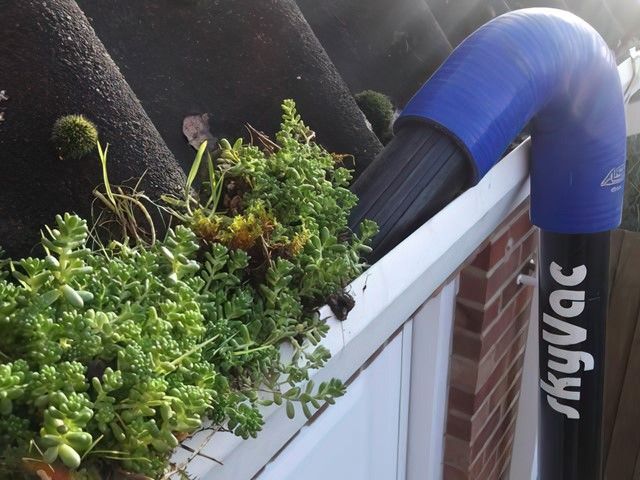 Gutter Cleaners in Doncaster
